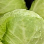 Von der Tradition zur Moderne: Heimisches Weißkraut und der Trend der Chicken-Guacamole-Bowls